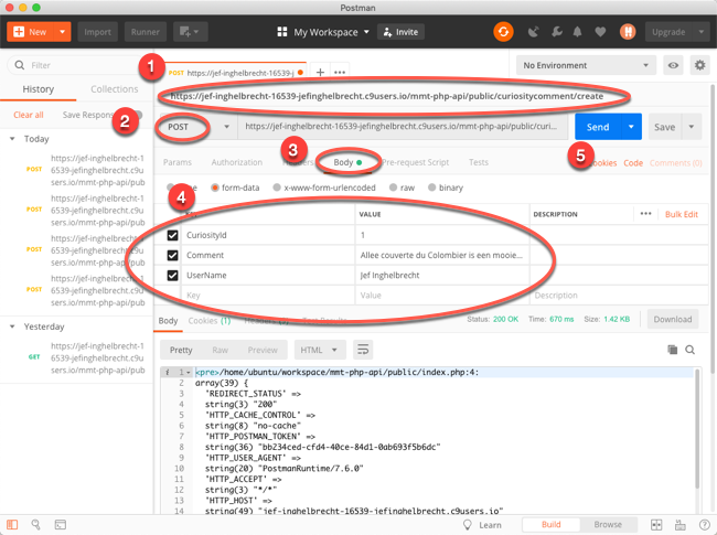 mmt - postman - curiositycomment create